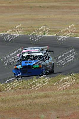 media/May-04-2024-Lucky Dog Racing (Sat) [[d39539b3f3]]/Race Pics/1015am (Turn 2)/